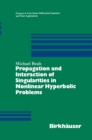 Propagation and Interaction of Singularities in Nonlinear Hyperbolic Problems - eBook