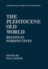 The Pleistocene Old World : Regional Perspectives - eBook
