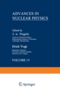 Advances in Nuclear Physics : Volume 13 - eBook