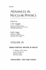 Advances in Nuclear Physics : Volume 20 - eBook