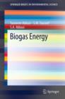 Biogas Energy - eBook