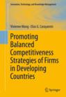 Promoting Balanced Competitiveness Strategies of Firms in Developing Countries - eBook