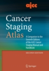 AJCC Cancer Staging Atlas : A Companion to the Seventh Editions of the AJCC Cancer Staging Manual and Handbook - eBook