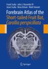 Forebrain Atlas of the Short-tailed Fruit Bat, Carollia perspicillata : Prepared by the Methods of Nissl and NeuN Immunohistochemistry - eBook