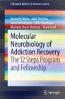 Molecular Neurobiology of Addiction Recovery : The 12 Steps Program and Fellowship - eBook