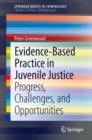 Evidence-Based Practice in Juvenile Justice : Progress, Challenges, and Opportunities - eBook