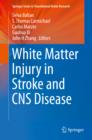 White Matter Injury in Stroke and CNS Disease - eBook
