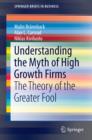 Understanding the Myth of High Growth Firms : The Theory of the Greater Fool - eBook