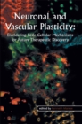 Neuronal and Vascular Plasticity : Elucidating Basic Cellular Mechanisms for Future Therapeutic Discovery - eBook