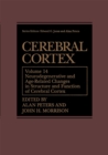 Cerebral Cortex : Neurodegenerative and Age-Related Changes in Structure and Function of Cerebral Cortex - eBook