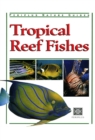 Tropical Reef Fishes : Periplus Nature Guide - eBook