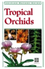 Tropical Orchids of Southeast Asia - eBook