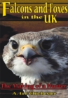 Falcons and Foxes in the U.K. : The Making of a Hunter - eBook