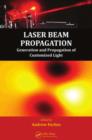 Laser Beam Propagation : Generation and Propagation of Customized Light - eBook