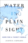 Water in Plain Sight : Hope for a Thirsty World - eBook