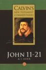 John 11-21 & 1 John - eBook