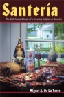 Santeria : The Beliefs and Rituals of a Growing Religion in America - eBook