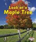 Look at a Maple Tree - eBook