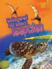 Endangered and Extinct Reptiles - eBook