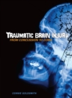 Traumatic Brain Injury : From Concussion to Coma - eBook