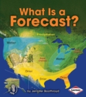 What Is a Forecast? - eBook