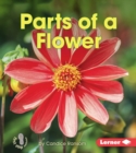 Parts of a Flower - eBook