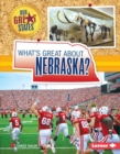 What's Great about Nebraska? - eBook