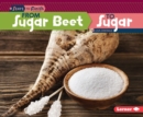 From Sugar Beet to Sugar - eBook