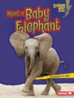 Meet a Baby Elephant - eBook