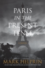 Paris in the Present Tense : A Novel - eBook