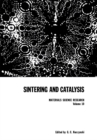 Sintering and Catalysis - eBook
