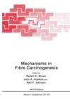 Mechanisms in Fibre Carcinogenesis - eBook