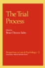 The Trial Process - eBook