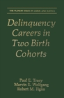 Delinquency Careers in Two Birth Cohorts - eBook