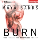 Burn - eAudiobook