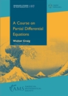 A Course on Partial Differential Equations - Book