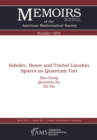 Sobolev, Besov and Triebel-Lizorkin Spaces on Quantum Tori - eBook