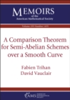 A Comparison Theorem for Semi-Abelian Schemes over a Smooth Curve - eBook