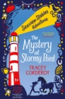 The Mystery at Stormy Point - Book