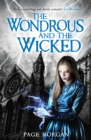 The Wondrous and the Wicked - eBook