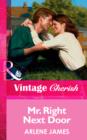 Mr. Right Next Door - eBook