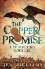 The Copper Promise (complete novel) - eBook