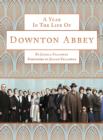 A Year in the Life of Downton Abbey (companion to series 5) - eBook
