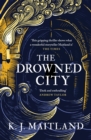 The Drowned City : A compulsive historical mystery set in Jacobean Bristol - Book