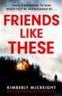 Friends Like These : How well do you really know your friends? - Book