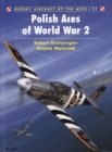 Polish Aces of World War 2 - eBook
