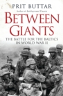 Between Giants : The Battle for the Baltics in World War II - eBook