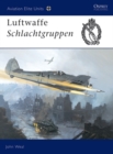 Luftwaffe Schlachtgruppen - eBook
