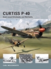 Curtiss P-40 : Snub-nosed Kittyhawks and Warhawks - eBook