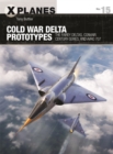 Cold War Delta Prototypes : The Fairey Deltas, Convair Century-series, and Avro 707 - Book
